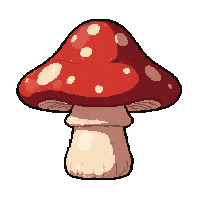 star shaped mushroom  freshly picked