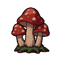 tiny cluster mushrooms  growing on log