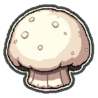 white puffball round  dried and preserved