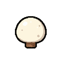 white puffball round  growing on log