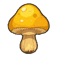 yellow golden chanterelle  dried and preserved