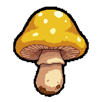 yellow golden chanterelle  rare legendary