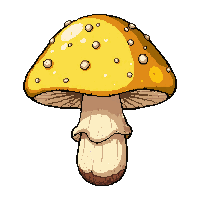 yellow golden chanterelle  sprouting spores