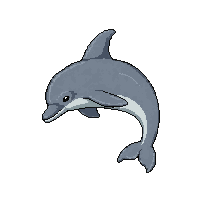 dolphin jumping  camouflage hidden