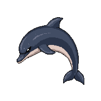 dolphin jumping  deep sea dark