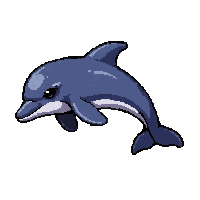 dolphin jumping  magical enchanted