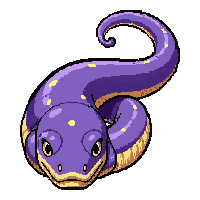 eel electric moray  toxic poison bright