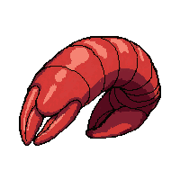 lobster red claw  coral reef colored