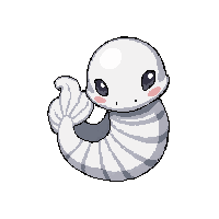 nautilus spiral  albino pure white