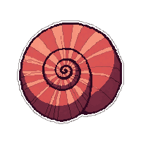 nautilus spiral  coral reef colored