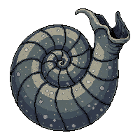 nautilus spiral  fossil ancient stone