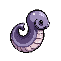 nautilus spiral  tiny miniature