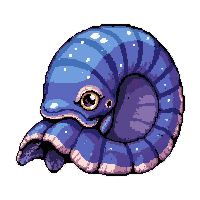 nautilus spiral  tropical bright neon