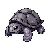 sea turtle ancient  fossil ancient stone