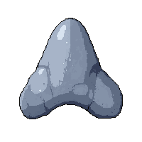 shark tooth great  fossil ancient stone