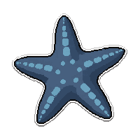 starfish five arm  camouflage hidden