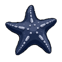 starfish five arm  deep sea dark