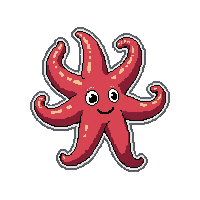 starfish five arm  shadow silhouette