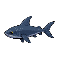 swordfish sharp  toxic poison bright