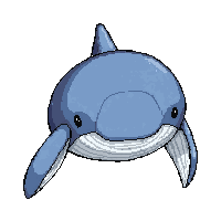 whale humpback  giant oversized