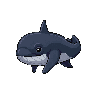 whale humpback  shadow silhouette