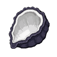 pearl giant oyster  barnacle encrusted