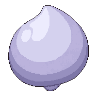pearl giant oyster  common everyday
