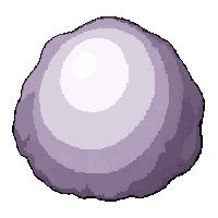 pearl giant oyster  pearl decorated