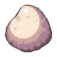 pearl giant oyster  sand covered buried
