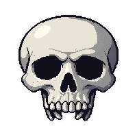 pirate flag skull  common everyday