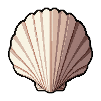 shell conch horn  broken half piece