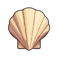 shell conch horn  common everyday