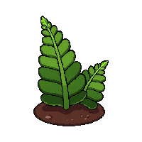 green fern frond  growing from soil