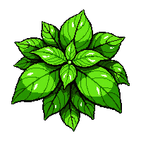 herb basil bunch  magical glowing