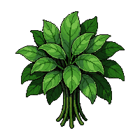 herb basil bunch  wilting dried