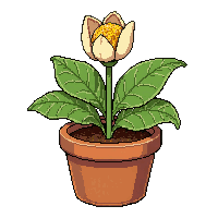lily pad flower  potted in clay pot