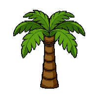 palm tree small  fully grown large