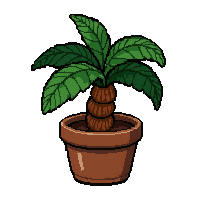 palm tree small  potted in clay pot