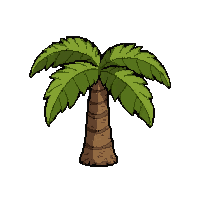 palm tree small  tiny seedling