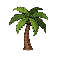 palm tree small  wilting dried