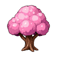 pink cherry blossom  blooming fresh
