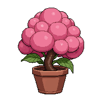 pink cherry blossom  potted in clay pot