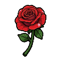 red rose flower  enchanted sparkle