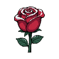 red rose flower  frost covered