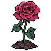 red rose flower  growing from soil