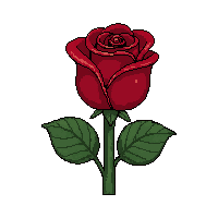 red rose flower  tiny seedling
