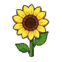sunflower yellow  tiny seedling