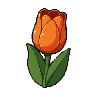 tulip orange  tiny seedling