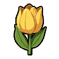 tulip orange  wilting dried