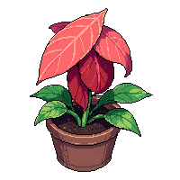 venus flytrap  enchanted sparkle